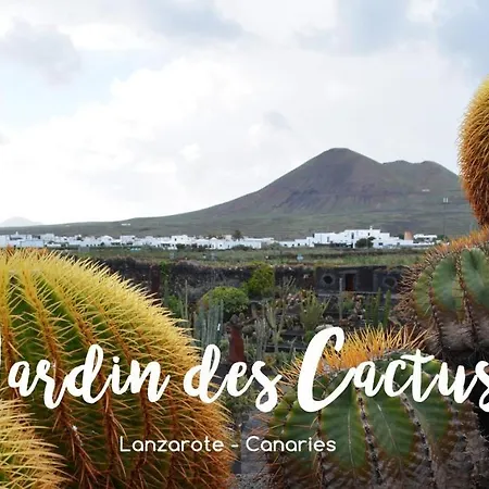 Casita Chao Апартаменти